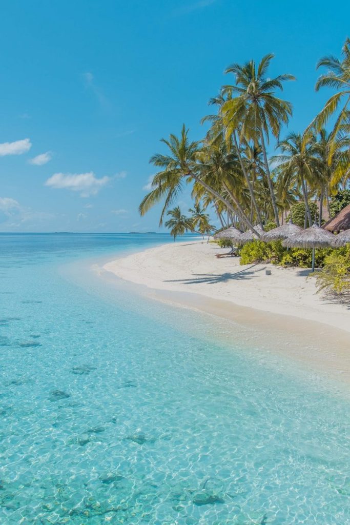 Maldive