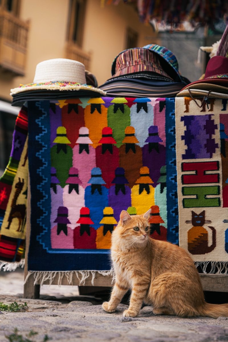 Colori e tradizioni in Sud America
