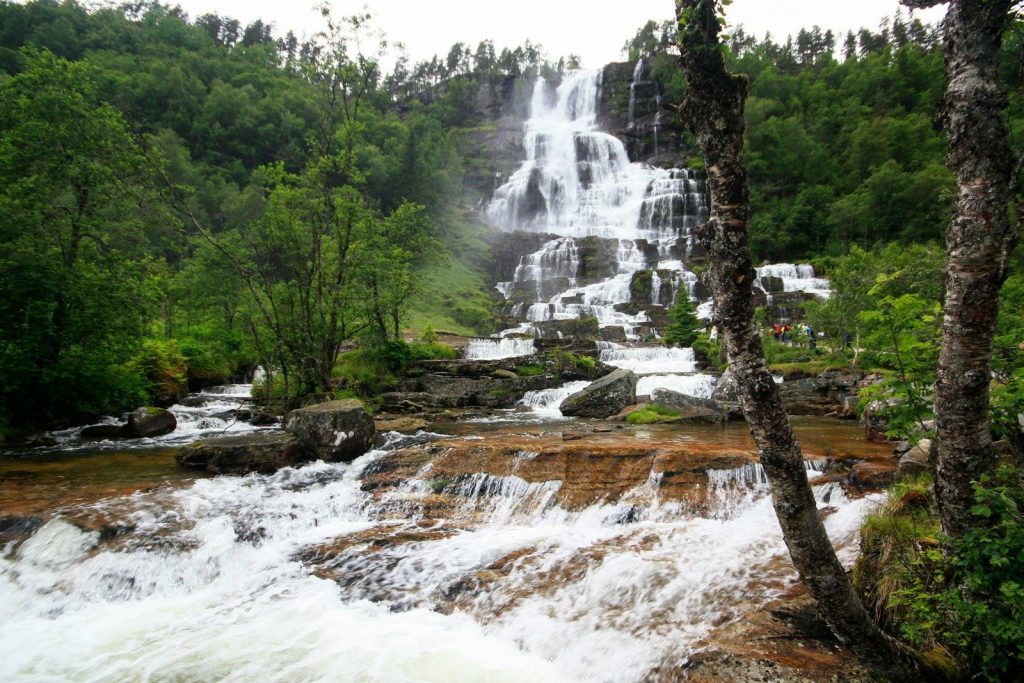Fiordi Norvegesi con torrente