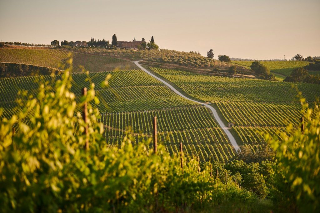 Collina Verde della Toscana