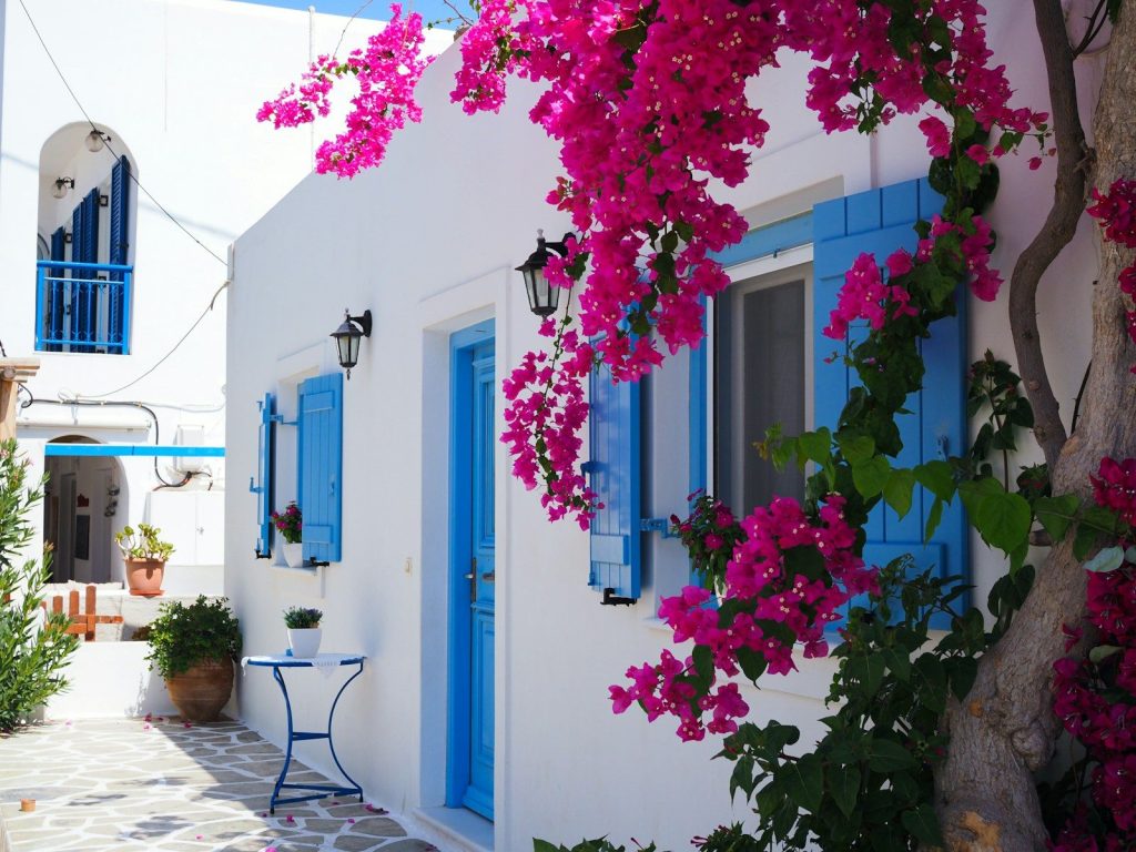 76
Albero di fiori rosa e bianchi vicino a una casa di cemento blu e bianca durante il giorno in Grecia